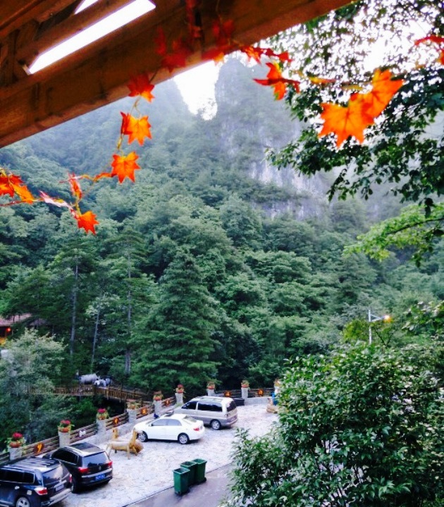 红坪特色农家(画廊路分店)