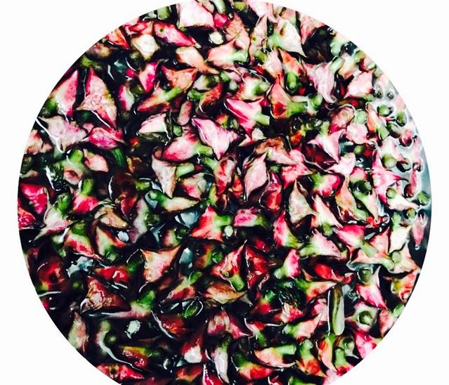 源味坊(喜乐路店)