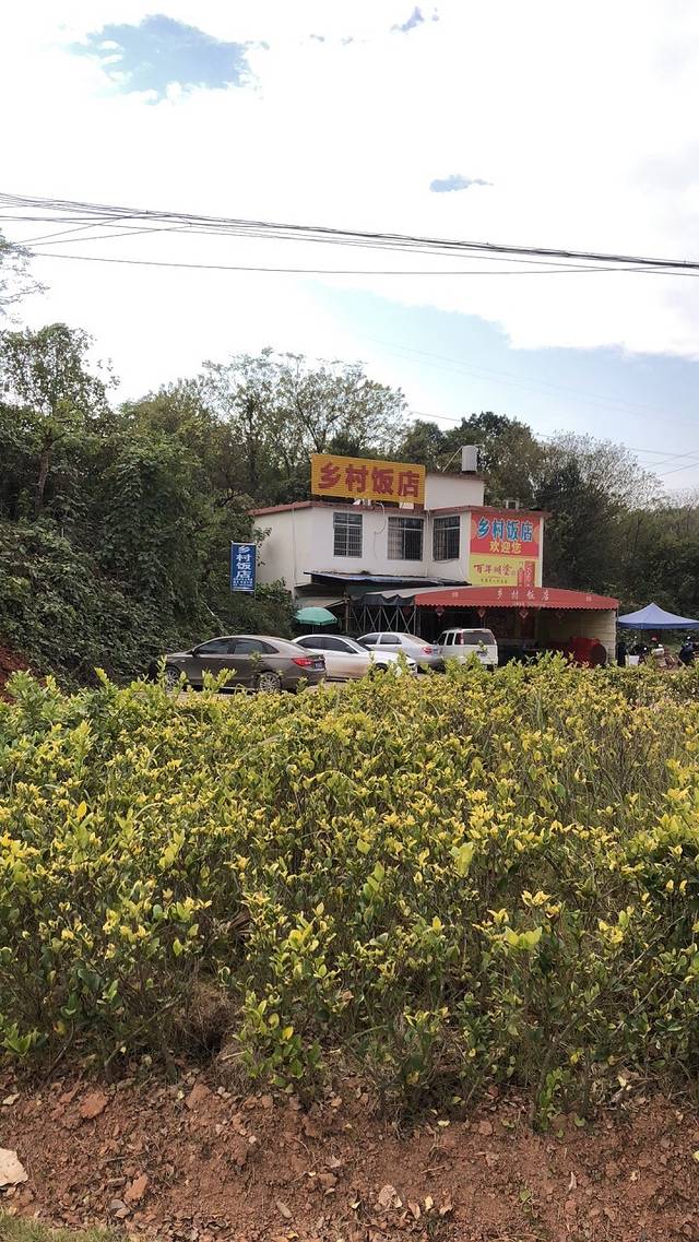 乡村菜馆(飞翔大道店)