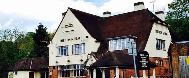 The Fox and Elm