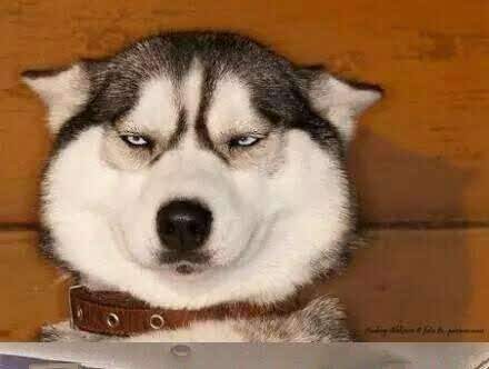 香港麦琪蛋糕(禹城麦琪大厦店)