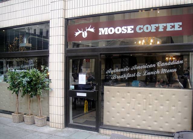 Moose Coffee