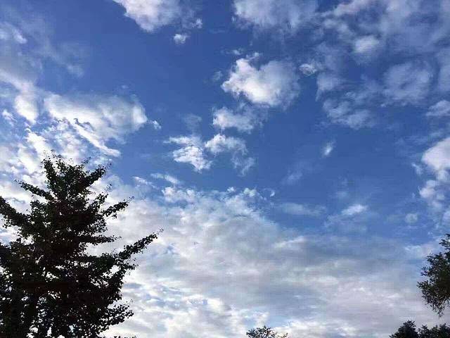 临沂饺子馆(杭州路店)