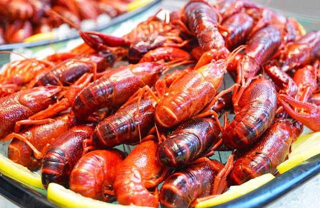 苏州科技城源宿酒店·源膳全日餐厅