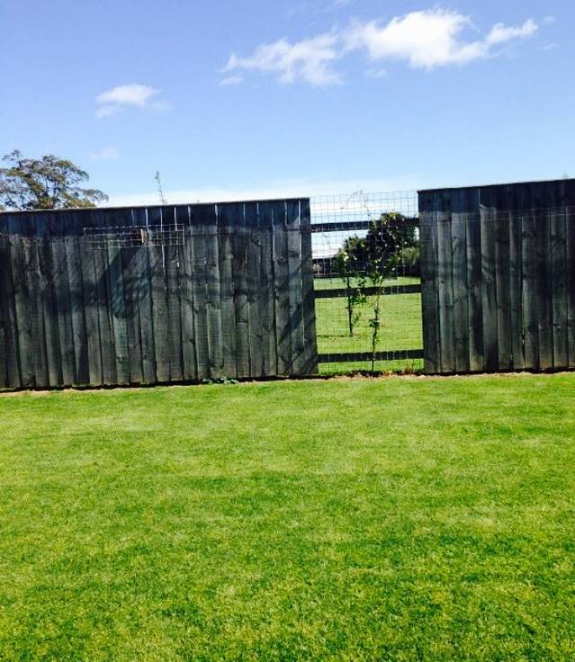 Zepplin Cafe Gallery