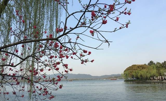 闻莺馆(柳浪闻莺店)