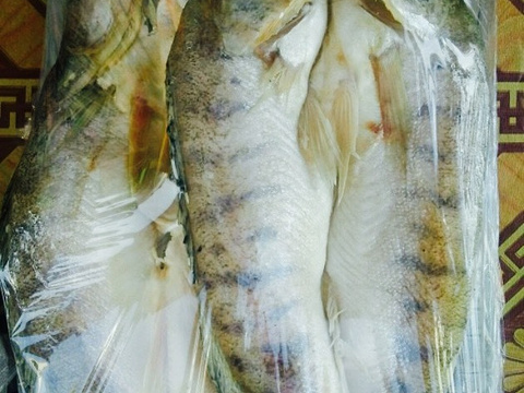 大西北烧烤王 野生冷水鱼