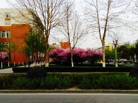 2018蔬菜面_旅游攻略_门票_地址_游记点评,郑州旅游景点推荐 - 去哪儿