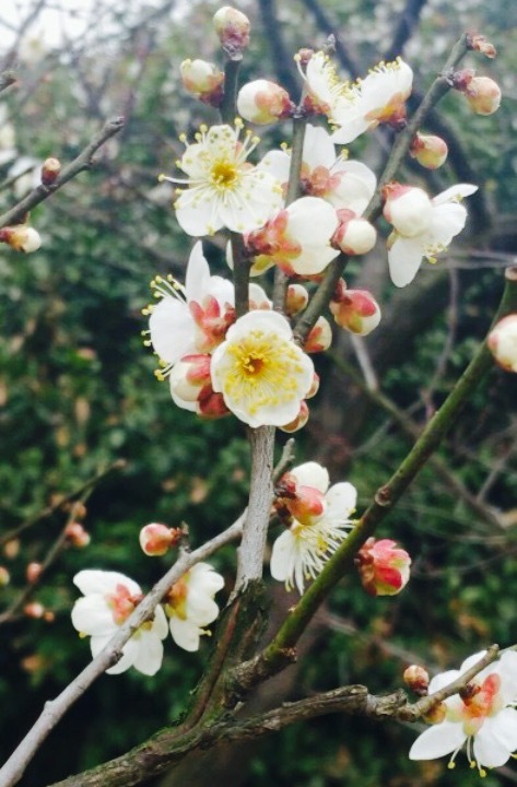 有滋有味土菜馆