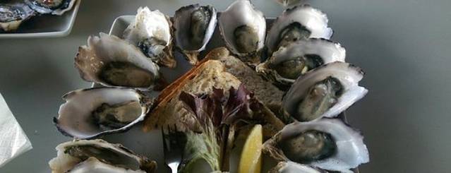 Oyster Bar Darwin