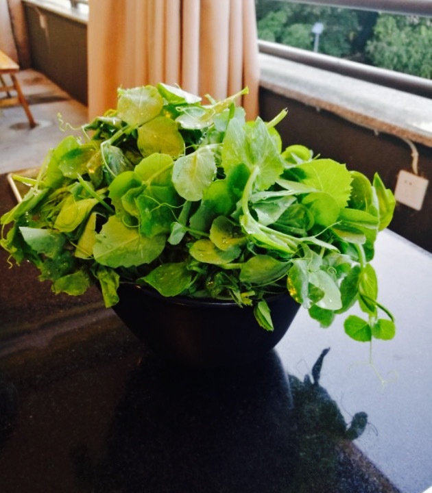 老重庆土灶火锅(米易店)