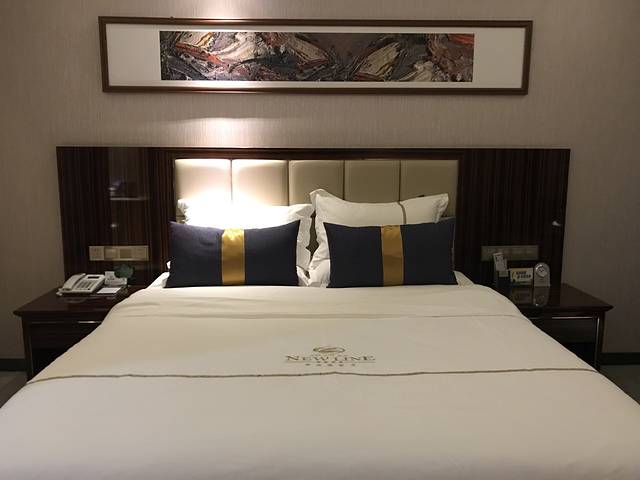 西宁宜采新丝路国际饭店(海湖新区万达广场店)·餐厅