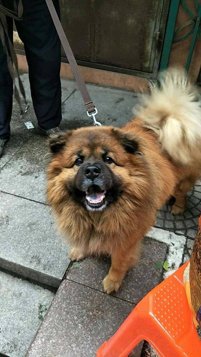 郑庄脂渣(北崂店)