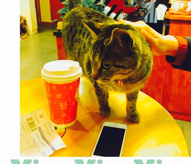 原萃屋(绿城·紫薇广场春晓苑店)