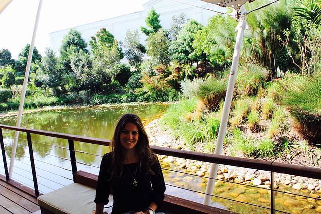 Pierneef à La Motte