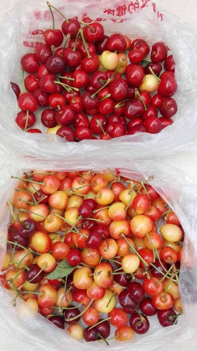 华婶牛筋面凉皮儿(北出口店)