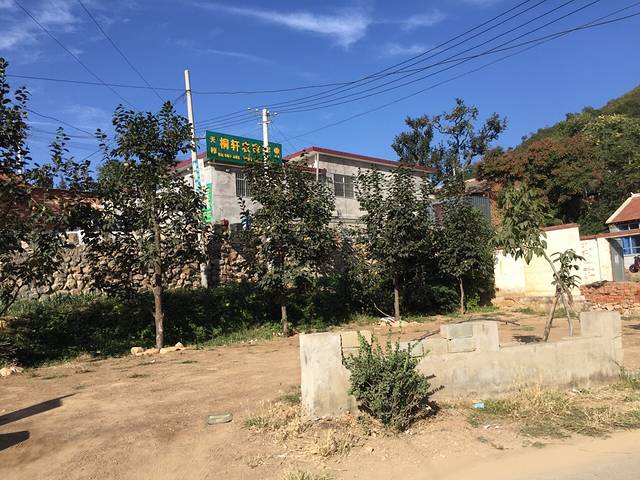 天穆桐轩清真菜农家院