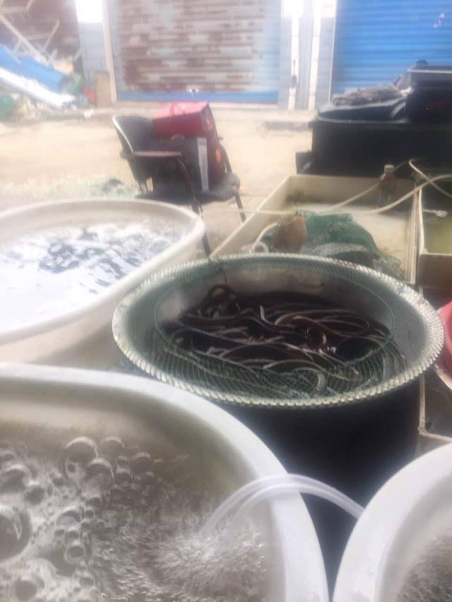 号辣火锅(金坛店)