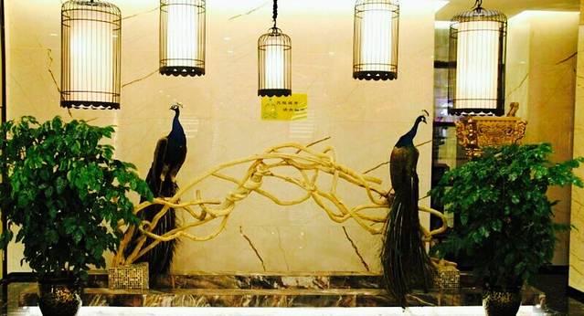 清真军邺·金富苑肥牛城(海湖新区精品店)