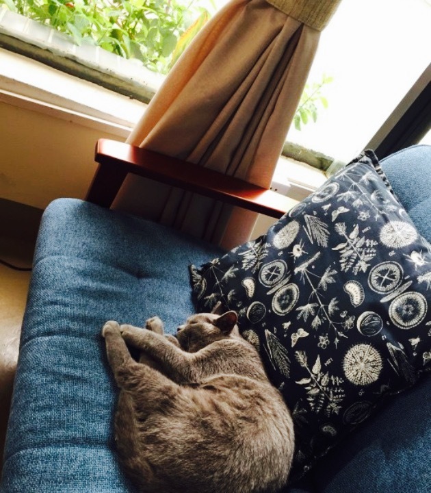 锡山区东港花房咖啡馆