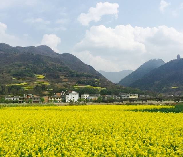 小洞天火锅(太白路店)