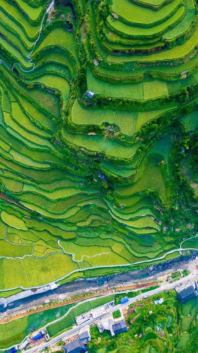 金凤成祥(东直门三店)