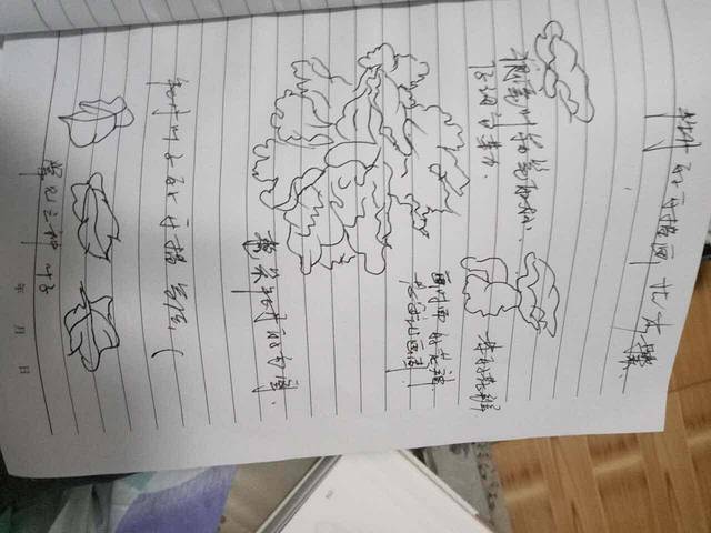 华莱士·全鸡汉堡(萝宁店)