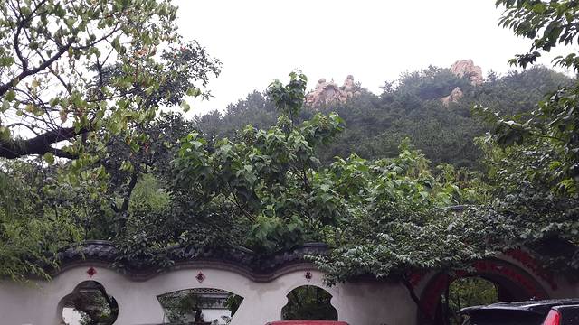 老张烤羊(王哥庄店)