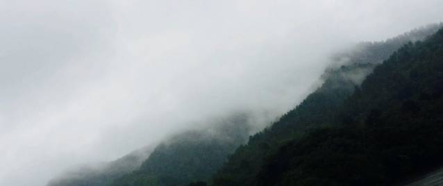 敬亭山度假村餐饮