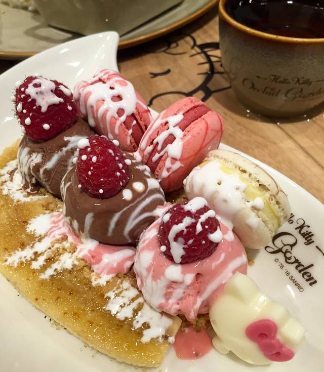 Hello Kitty Orchid Garden