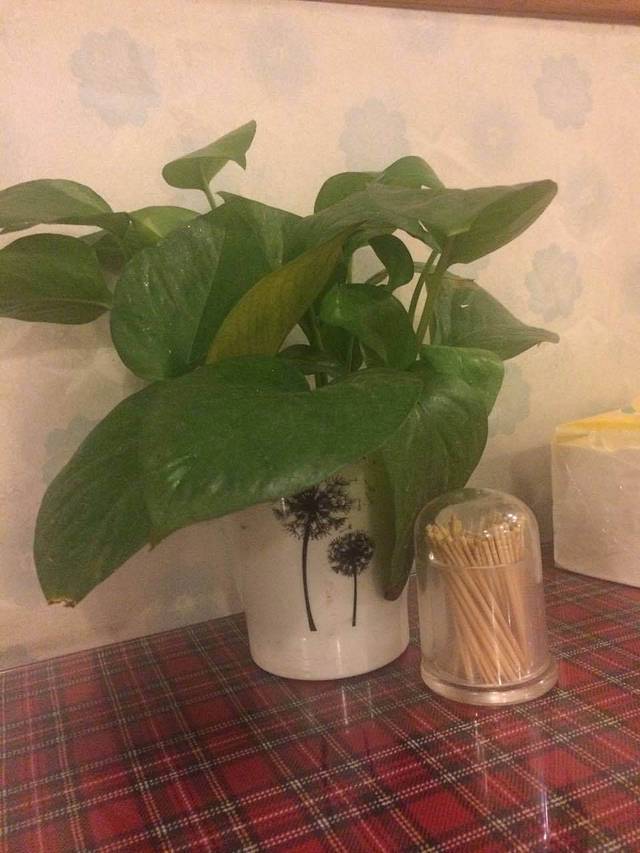 老字号仙境意式餐厅