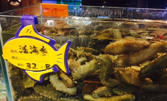 渡海小渔船(营口分店)