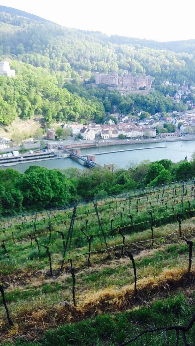 Le Gourmet Heidelberg