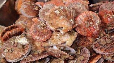 索菲亚国际大酒店·餐厅