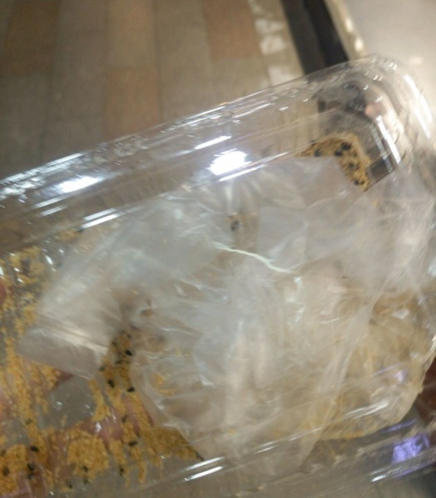 小安记古早味手工麻糍