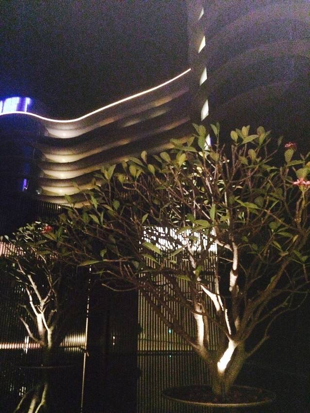 海南蓝湾绿城威斯汀度假酒店·中国元素中餐厅