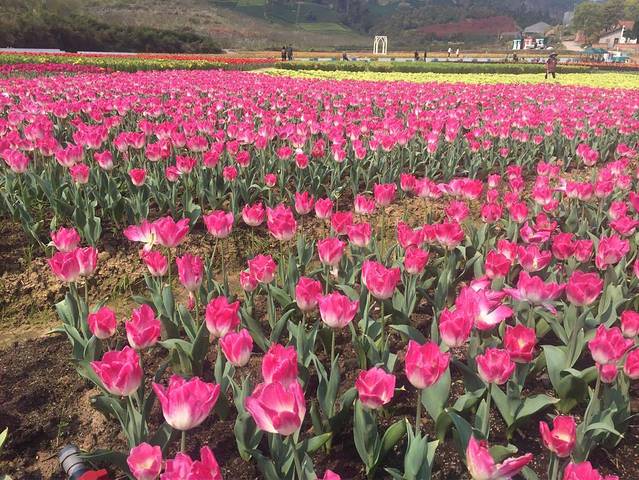 乡村大院(江北店)