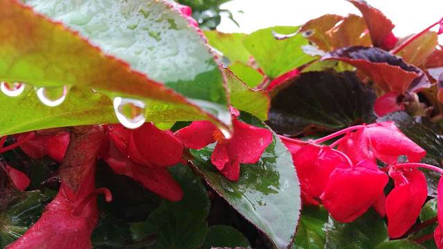 美食美客(中大店)