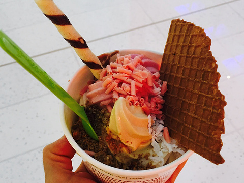 2018yogurtland_旅游攻略_门票_地址_游记点评,迪拜旅