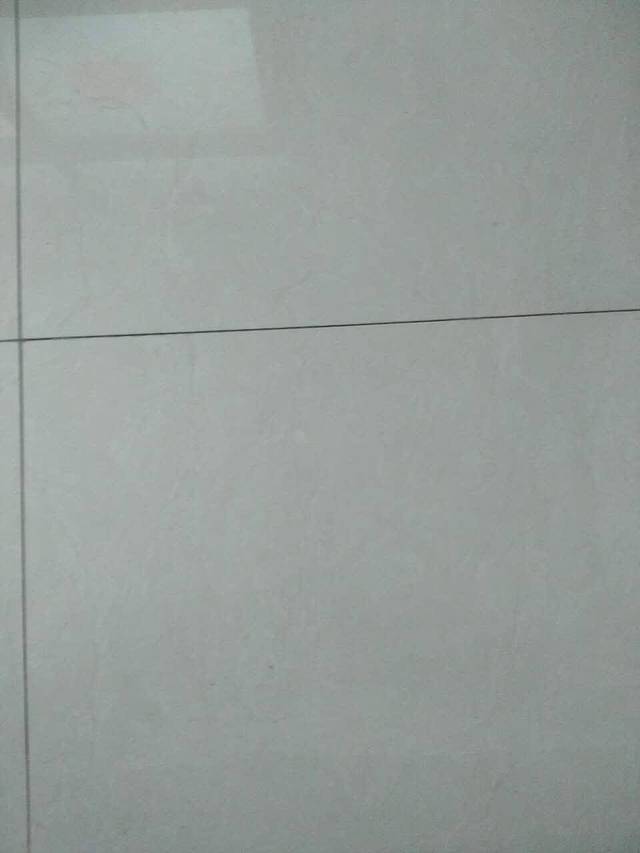 九多肉多(白马寺店)