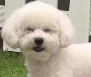 必胜客(临河维多利店)