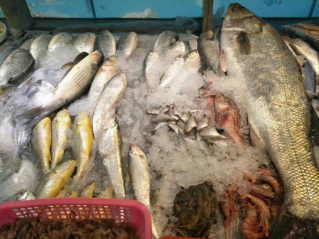 春良海鲜排档(东港海印路店)