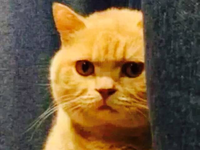 曹氏鸭脖(中山大道店)