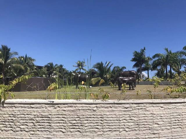 三亚海棠湾君悦酒店·愉村中餐厅