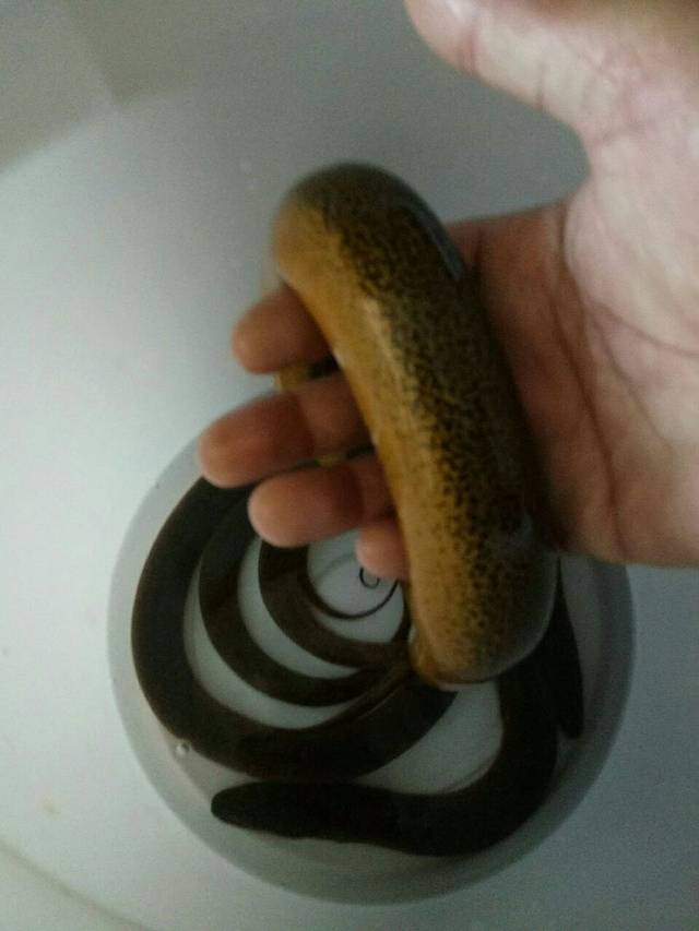 老郭私房菜餐厅