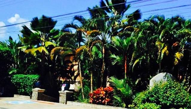 Costa Coral Restaurant