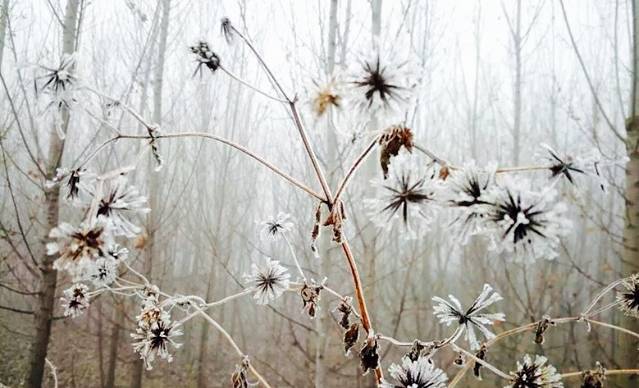 小面鲜生(邹城贵和店)