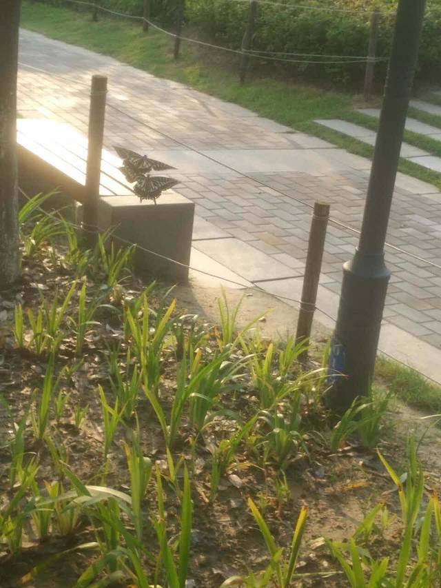 鑫港大酒店(公园路店)