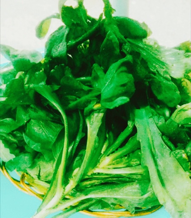 柳叶湖石锅鱼(渔溪店)