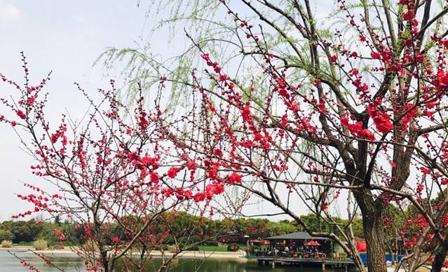 上海东郊宾馆·麒麟阁